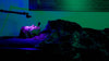 Biofeedback Therapy: Light, Sound & Vibration for Wellness