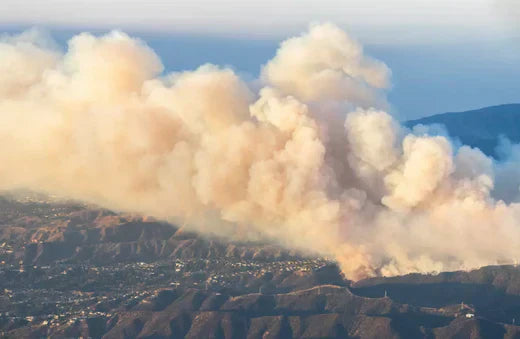 5 Ways to Detoxify After Wildfire Smoke Inhalation