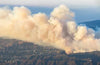 5 Ways to Detoxify After Wildfire Smoke Inhalation