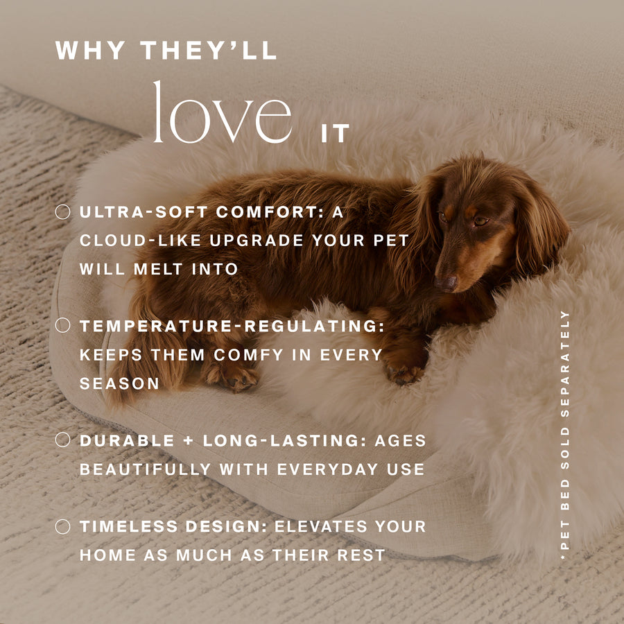 Brown dog resting on cream-colored fluffy shearling pet bed cover.