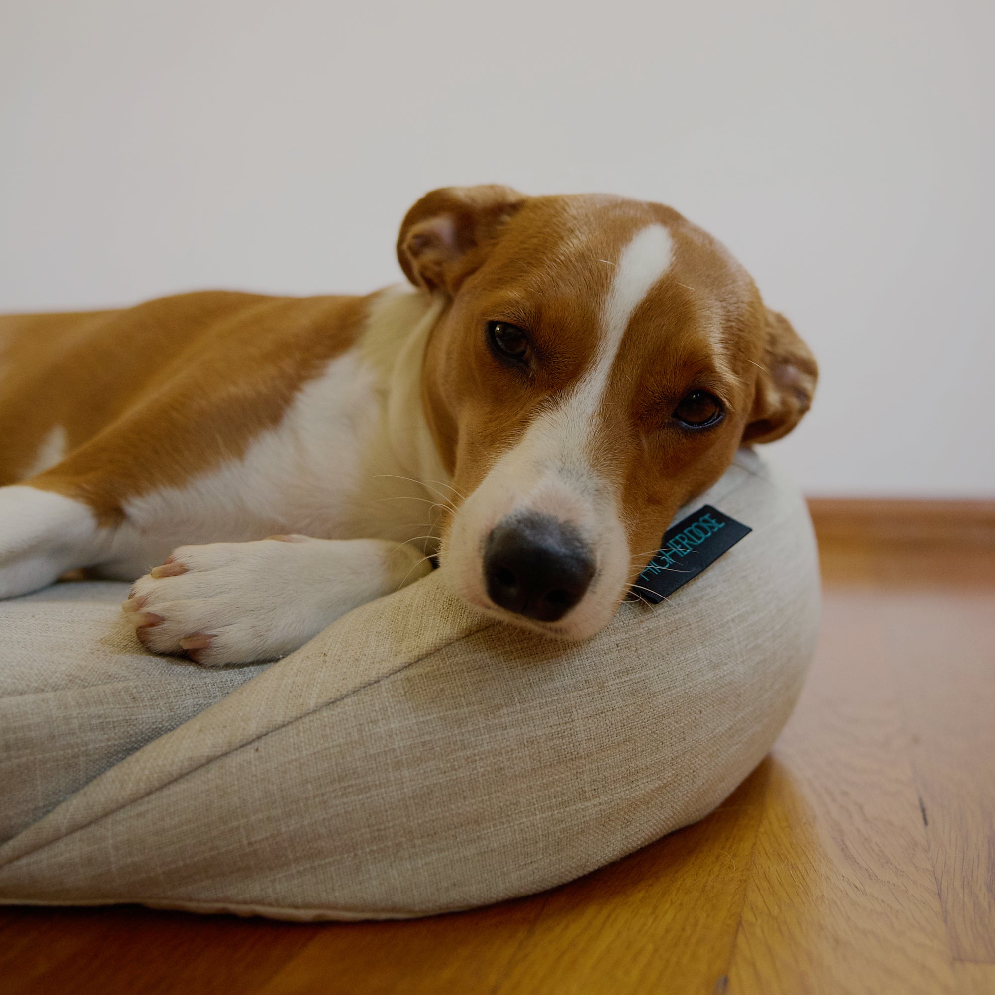 Infrared PEMF Pet Bed