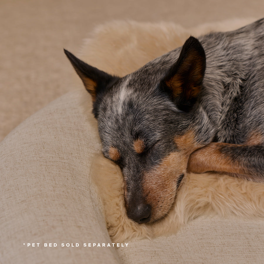 Black and tan dog resting on cream-colored natural shearling pet bed cover.