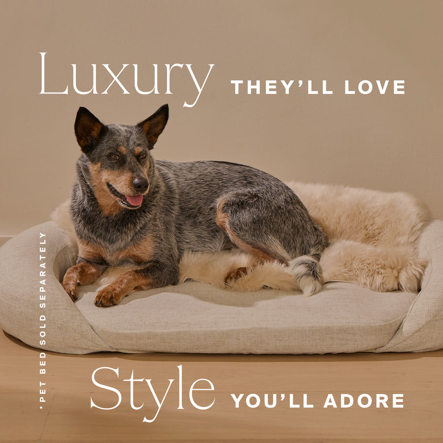 Dog resting on a beige oval pet bed with cream shearling lining and matching fabric cover.