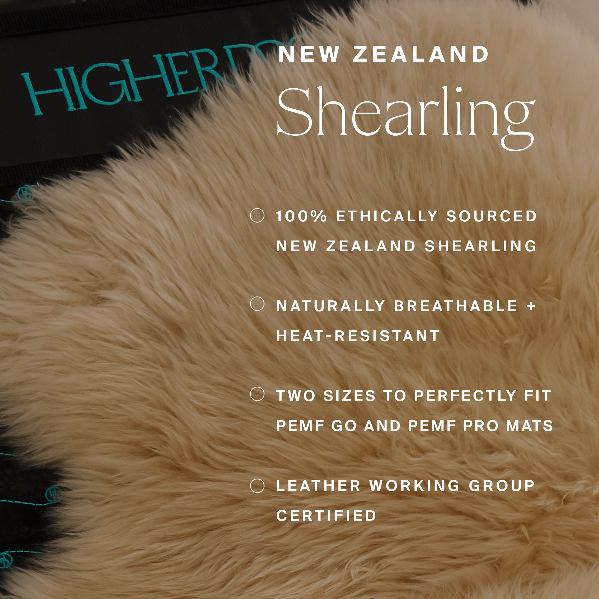 PEMF Pro Mat Starter Kit