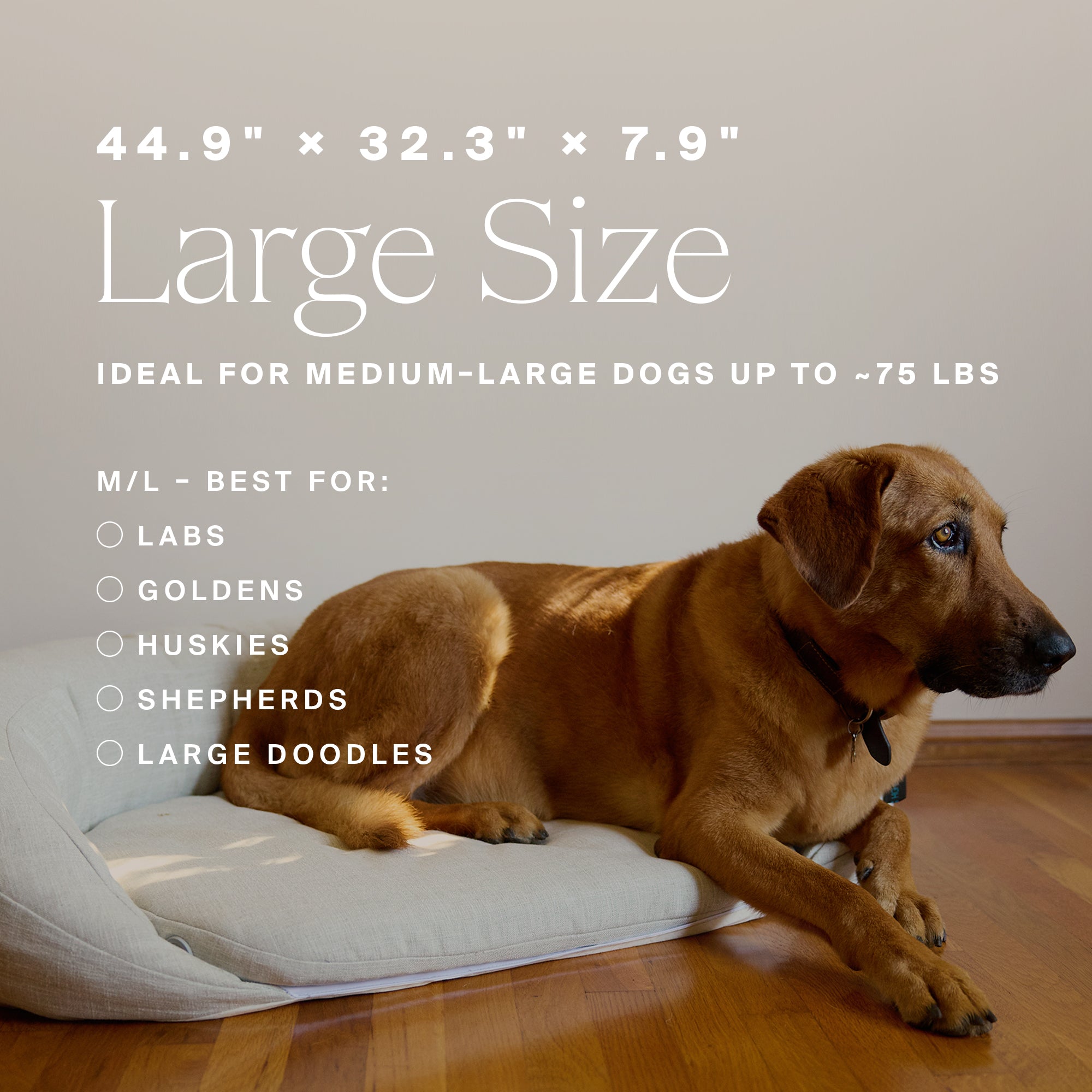 Infrared PEMF Pet Bed