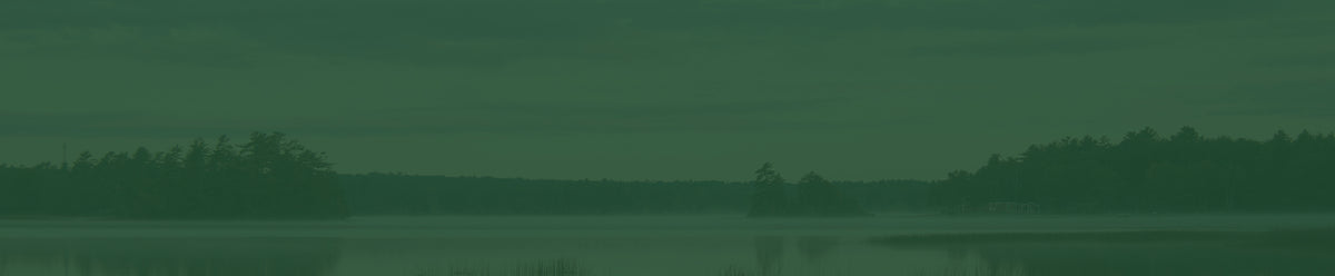Silhouette of a forest reflected in a calm lake