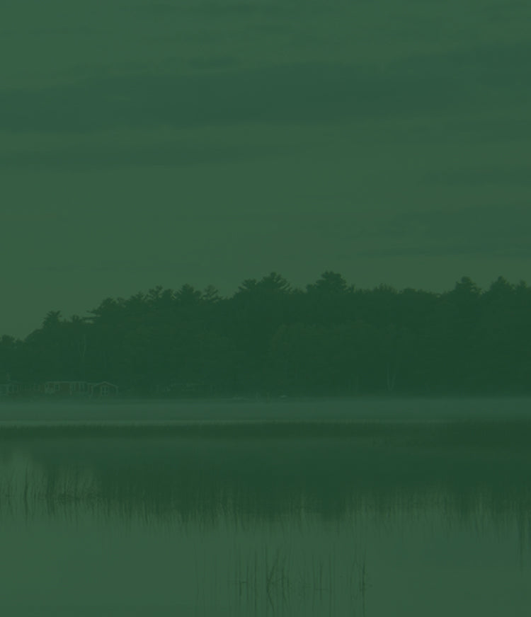 Silhouette of trees on a misty lake