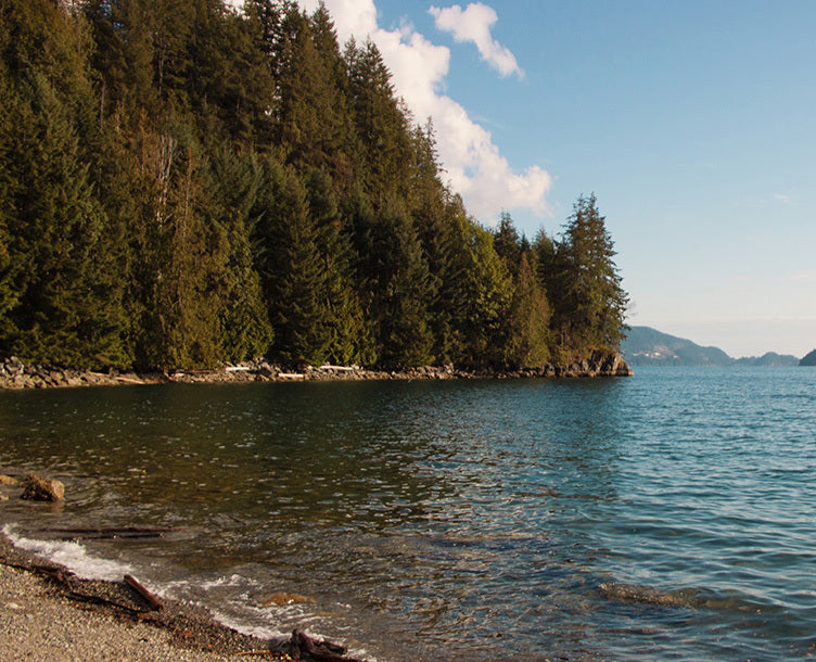Calm shoreline with clear blue water, rocky beach, and forested cliffs under a bright sky.